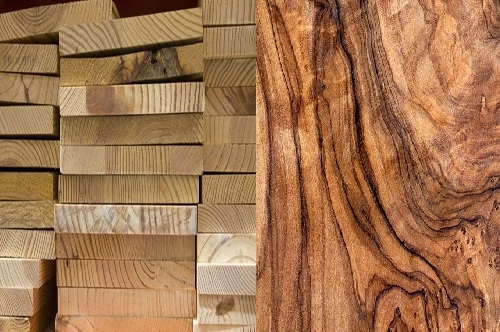 Treated vs. Untreated Wood