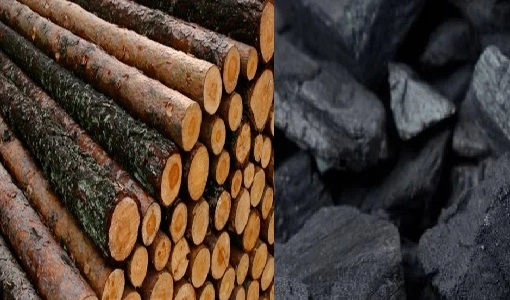 Wood Logs vs. Charcoal