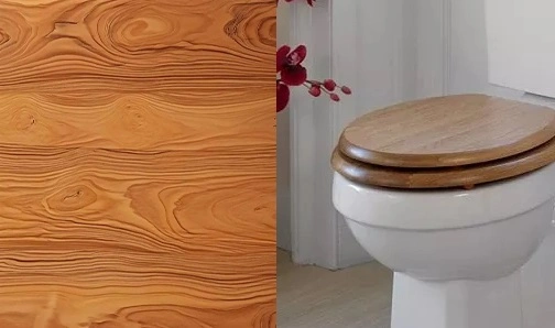 Wood vs. Plastic Toilet Seats